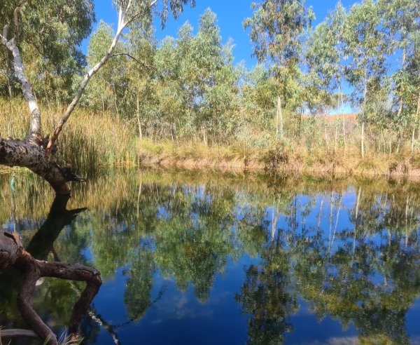 Embark on a Rewarding Journey: International Educators, Thrive in Regional Australia with Thriving Futures! Image