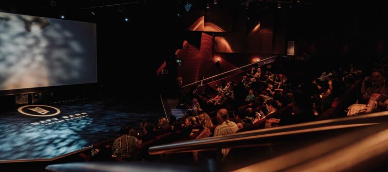 Matt Dann Theatre and Cinema Image